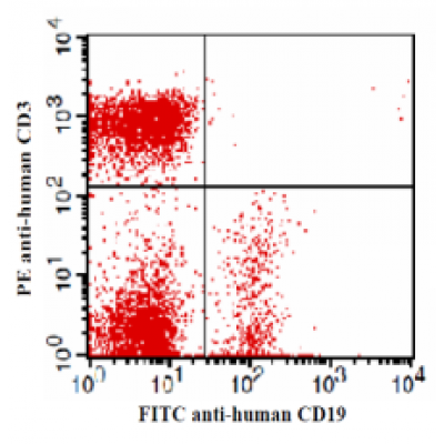 Anti-Human CD3 Antibody-PE