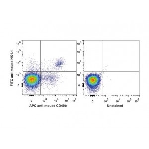 FITC Anti-Mouse CD161/NK1.1 Antibody (25 μg)