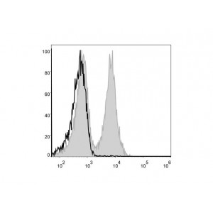 FITC Anti-Mouse CD19 Antibody (50 T)