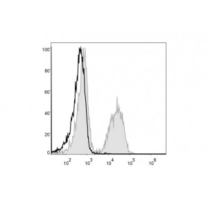 PE Anti-Mouse CD19 Antibody (50 T)