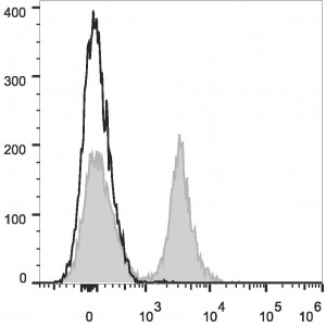 PE/Cyanine7 Anti-Mouse CD19 Antibody (20 T)