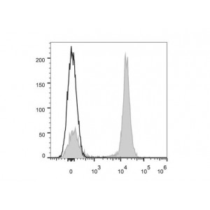 AF647 Anti-Mouse CD19 Antibody (20 T)