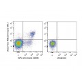 AF488 Anti-Mouse CD161/NK1.1 Antibody (20 T)