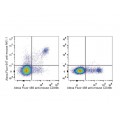 AF647 Anti-Mouse CD161/NK1.1 Antibody (20 T)