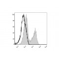 PerCP Anti-Mouse MHC II (I-A/I-E) Antibody (20 T)