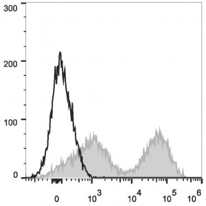 PE/Cyanine7 Anti-Mouse MHC II (I-A/I-E) Antibody (20 T)