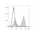 PerCP/Cyanine5.5 Anti-Mouse MHC II (I-A/I-E) Antibody (20 T)