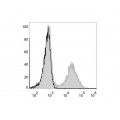 AF488 Anti-Mouse MHC II (I-A/I-E) Antibody (20 T)