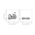 FITC Anti-Mouse CD11c Antibody (50 T)