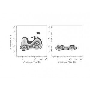 FITC Anti-Mouse CD11c Antibody (50 T)