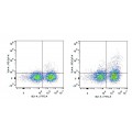 PE/Cyanine7 Anti-Mouse CD11c Antibody (20 T)