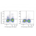 PerCP/Cyanine5.5 Anti-Mouse CD11c Antibody (20 T)