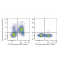 AF647 Anti-Mouse CD11c Antibody (20 T)