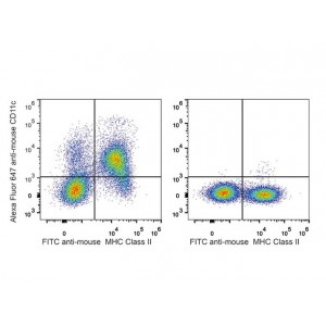 AF647 Anti-Mouse CD11c Antibody (20 T)