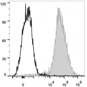 AF647 Anti-Mouse F4/80 Antibody (20 T)