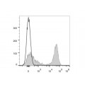 AF647 Anti-Mouse MHC II (I-A/I-E) Antibody (20 T)