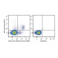 APC Anti-Mouse CD161/NK1.1 Antibody (50 T)