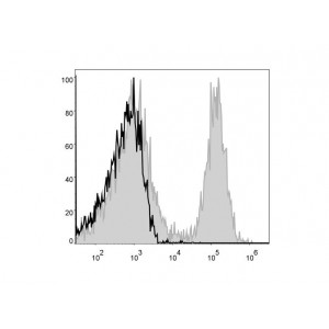 APC Anti-Mouse CD19 Antibody (25 μg)