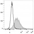 PE Anti-Mouse CD86 Antibody (25 μg)