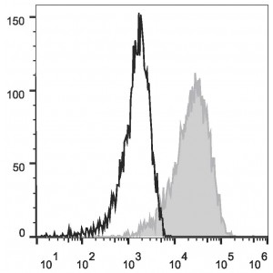 PE Anti-Human CD83 Antibody (20 T)