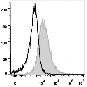 PerCP/Cyanine5.5 Anti-Mouse CD86 Antibody (20 T)