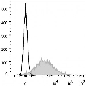 AF647 Anti-Mouse CD86 Antibody (20 T)