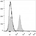 PE/Cyanine7 Anti-Mouse CD19 Antibody (25 μg)