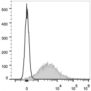 APC Anti-Mouse CD86 Antibody (50 T)