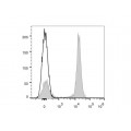 AF647 Anti-Mouse CD19 Antibody (25 μg)