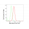 LifeSab™ BAK Rabbit mAb (20 μl)