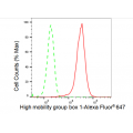 LifeSab™ HMGB1 Rabbit mAb (20 μl)