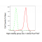 LifeSab™ HMGB1 Rabbit mAb (20 μl)