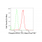 LifeSab™ Phospho-RPA2 (T21) Rabbit mAb (20 μl)