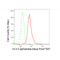 LifeSab™ YWHAB Rabbit mAb (20 μl)