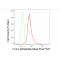 LifeSab™ YWHAB Rabbit mAb (20 μl)