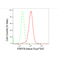 LifeSab™ PRPF8 Rabbit mAb (20 μl)