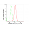 LifeSab™ PRPF8 Rabbit mAb (20 μl)