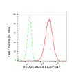 LifeSab™ USP9X Rabbit mAb (20 μl)