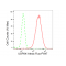 LifeSab™ USP9X Rabbit mAb (20 μl)