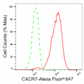 LifeSab™ CXCR7 Rabbit mAb (20 μl)