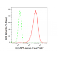 LifeSab™ IQGAP1 Rabbit mAb (20 μl)