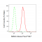 LifeSab™ SMAC Rabbit mAb (20 μl)