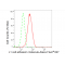 LifeSab™ L1CAM Rabbit mAb (20 μl)