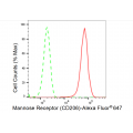 LifeSab™ CD206 Rabbit mAb (20 μl)