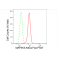 LifeSab™ MAP3K5 Rabbit mAb (20 μl)