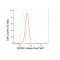 LifeSab™ ROCK1 Rabbit mAb (20 μl)