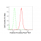 LifeSab™ Histone H3 Rabbit mAb (20 μl)