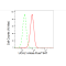 LifeSab™ UCHL1 Rabbit mAb (20 μl)