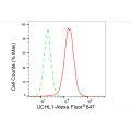 LifeSab™ UCHL1 Rabbit mAb (20 μl)