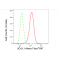 LifeSab™ UCHL1 Rabbit mAb (20 μl)